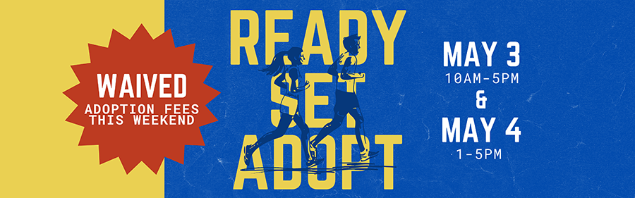 Ready, Set, Adopt - Adoption fees waived May 3 & 4!